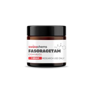 Fasoracetam – Powder, 1 gram