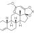 YK-11 (5mg/capsule), 60 Capsules